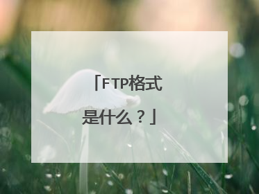 FTP格式是什么？