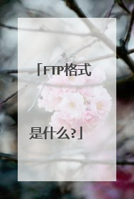 FTP格式是什么?