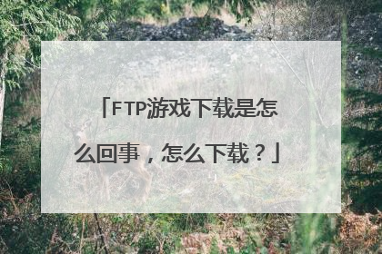 FTP游戏下载是怎么回事，怎么下载？