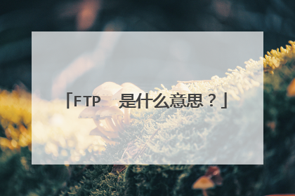 FTP  是什么意思？