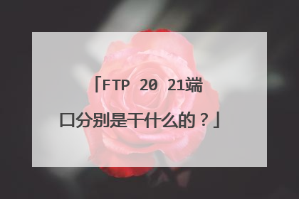 FTP 20 21端口分别是干什么的？