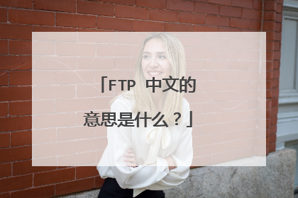 FTP 中文的意思是什么?