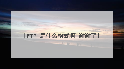 FTP 是什么格式啊 谢谢了