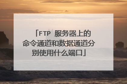 FTP 服务器上的命令通道和数据通道分别使用什么端口