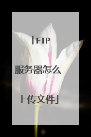 FTP 服务器怎么上传文件
