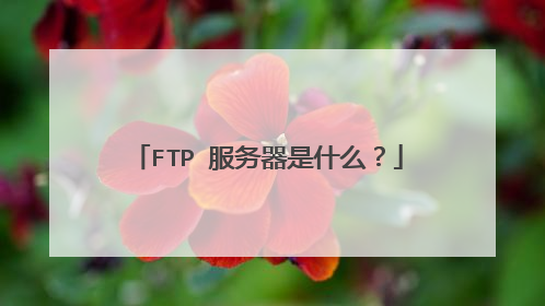 FTP 服务器是什么?