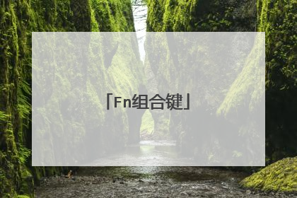 Fn组合键