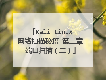 Kali Linux 网络扫描秘籍 第三章 端口扫描(二)