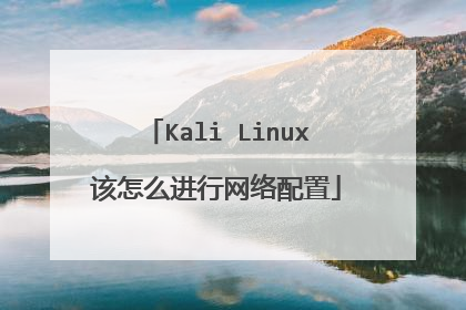 Kali Linux该怎么进行网络配置