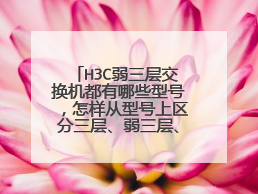 H3C弱三层交换机都有哪些型号，怎样从型号上区分三层、弱三层、二层交换机？