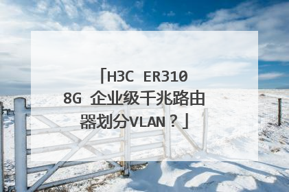 H3C ER3108G 企业级千兆路由器划分VLAN？