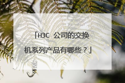 H3C 公司的交换机系列产品有哪些?
