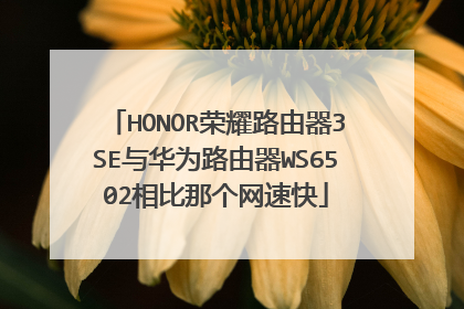 HONOR荣耀路由器3SE与华为路由器WS6502相比那个网速快