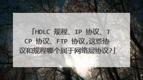 HDLC 规程、IP 协议、TCP 协议、FTP 协议,这些协议和规程哪个属于网络层协议?