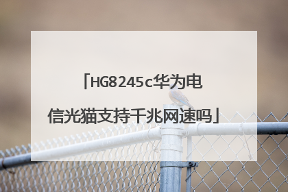 HG8245c华为电信光猫支持千兆网速吗
