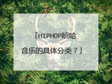 HIPHOP嘻哈音乐的具体分类?