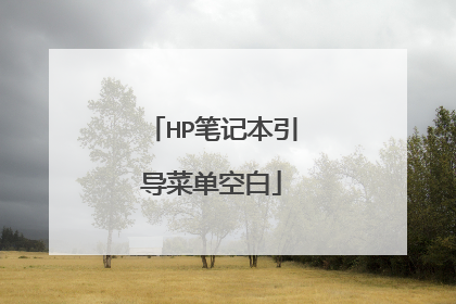 HP笔记本引导菜单空白
