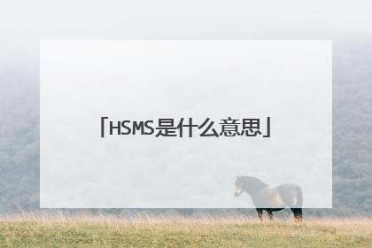 HSMS是什么意思