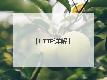 HTTP详解
