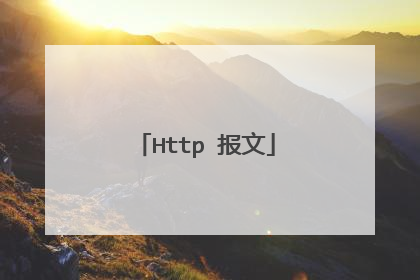 Http 报文
