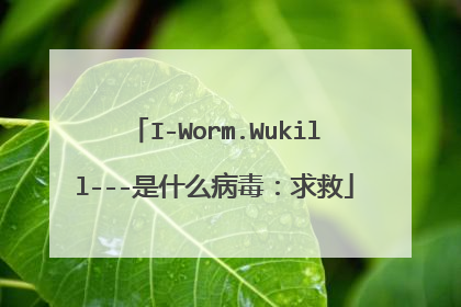 I-Worm.Wukill---是什么病毒:求救