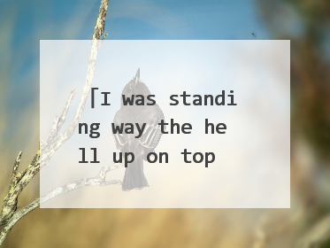 I was standing way the hell up on top of Thomsen Hill  怎么翻译？