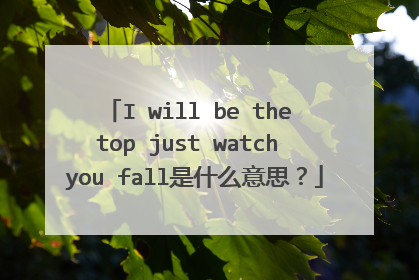 I will be the top just watch you fall是什么意思？