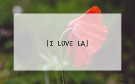 I LOVE LA