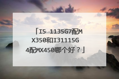 I5 1135G7配MX350和I31115G4配MX450哪个好？
