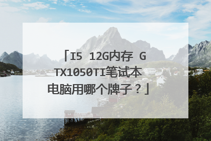 I5 12G内存 GTX1050TI笔试本电脑用哪个牌子?