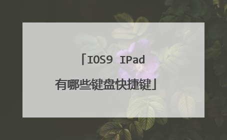 IOS9 IPad有哪些键盘快捷键