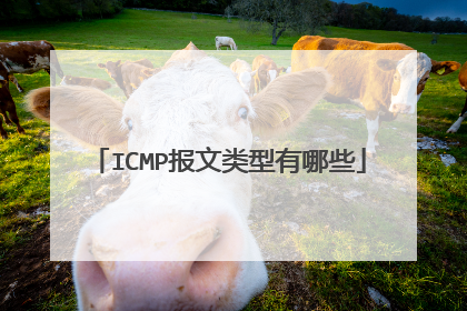 ICMP报文类型有哪些