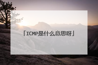 ICMP是什么意思呀