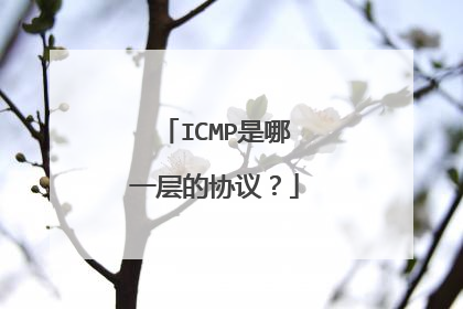 ICMP是哪一层的协议？