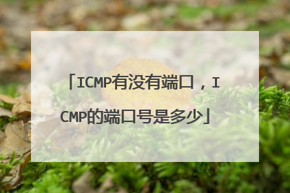 ICMP有没有端口，ICMP的端口号是多少