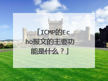 ICMP的Echo报文的主要功能是什么?