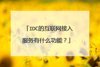 IDC的互联网接入服务有什么功能?