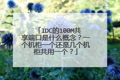 IDC的100M共享端口是什么概念？一个机柜一个还是几个机柜共用一个？