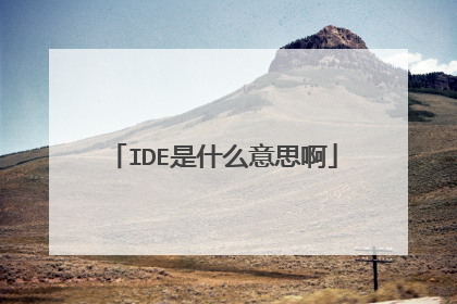 IDE是什么意思啊
