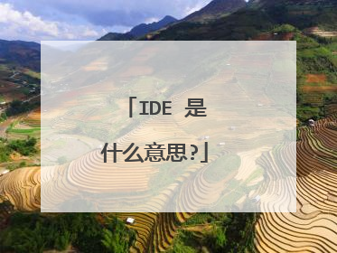 IDE 是什么意思?