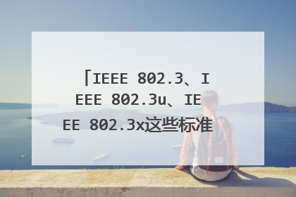 IEEE 802.3、IEEE 802.3u、IEEE 802.3x这些标准的协议各表示什么？