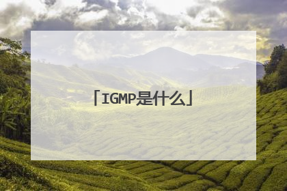 IGMP是什么