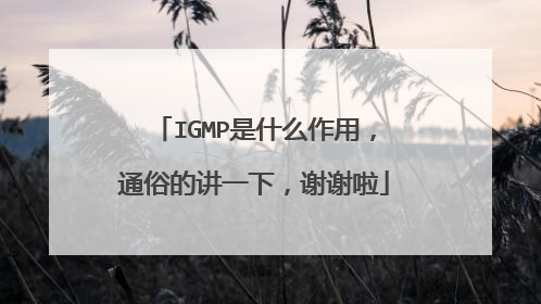 IGMP是什么作用，通俗的讲一下，谢谢啦