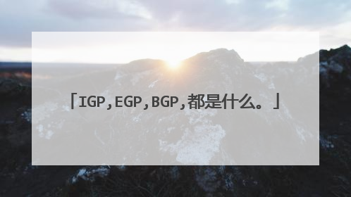 IGP,EGP,BGP,都是什么。