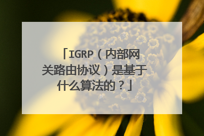 IGRP（内部网关路由协议）是基于什么算法的？