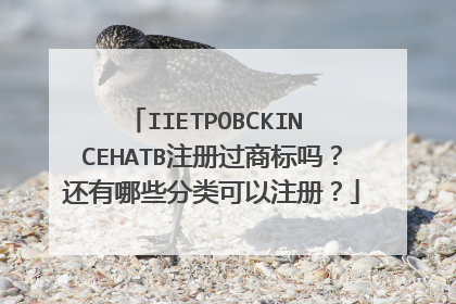 IIETPOBCKIN CEHATB注册过商标吗？还有哪些分类可以注册？