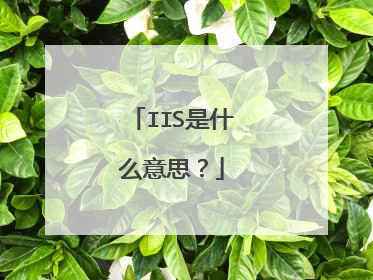 IIS是什么意思？