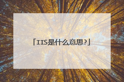 IIS是什么意思?