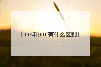 IIs和IIC有什么区别