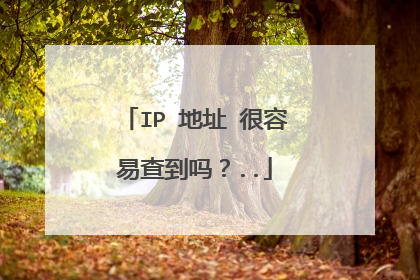 IP 地址 很容易查到吗？..